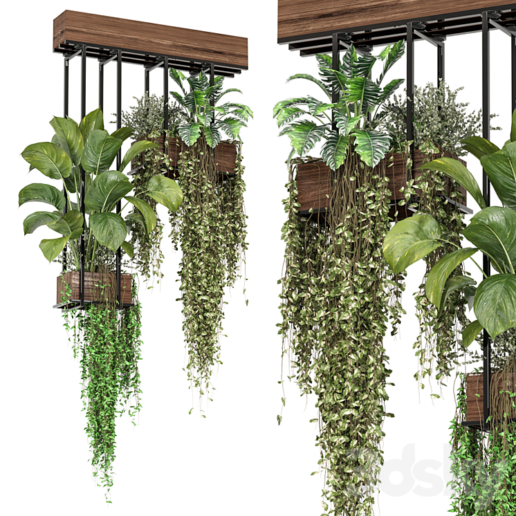 indoor hanging plants in metal box _ Set 814_（model:5037671）ampelous,ivy,planter,grass,plant,box,hanging,pot
