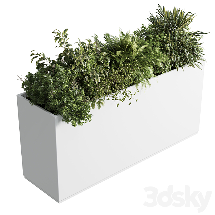 Office plant - plastic box plants on stand - set indoor plant 389_（model:5229248）planter,grass,plant,hanging,philodendron,fern