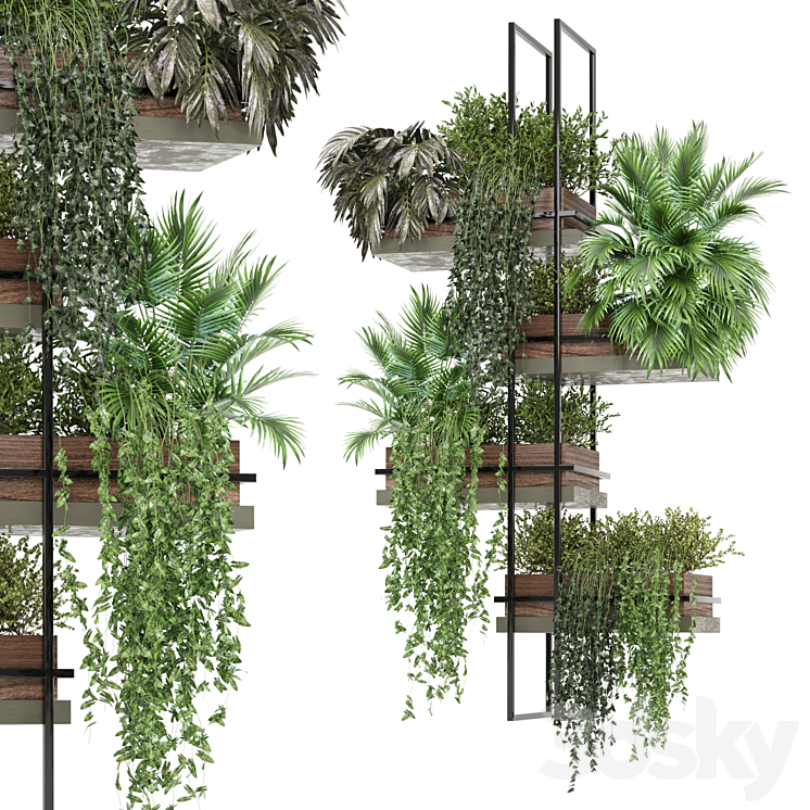 indoor hanging plants in metal boxSet 878_（model:5231912）ampelous,ivy,planter,grass,plant,box,hanging,pot