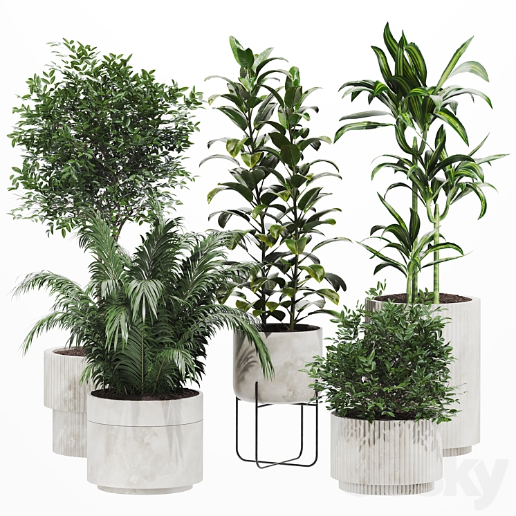 Plant Set 50_（model:5293253）plants,indoor,indoorplants,grass,flower,green,plantsset,set,decorative